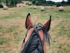 Ruta a caballo en León para despedidas